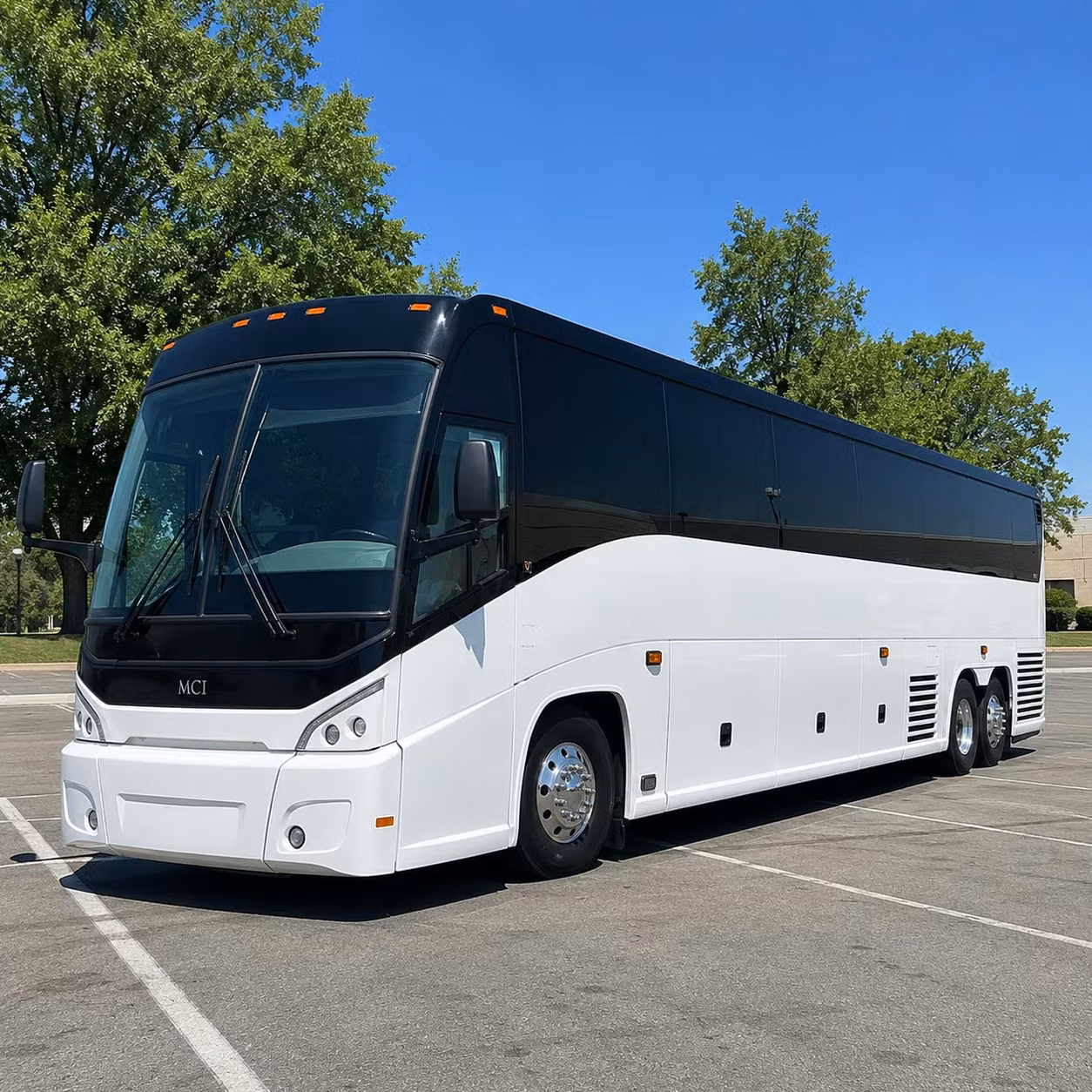 long distance group travel from portage to chicago detroit and beyond